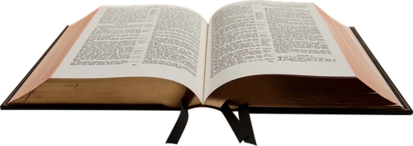 11 februari 2020, 10.00 uur Samen de Bijbel lezen (Kring ds. Alfons van Vliet)